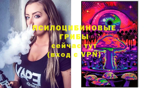 гидра Сатка