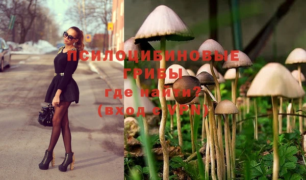 марки nbome Алексеевка