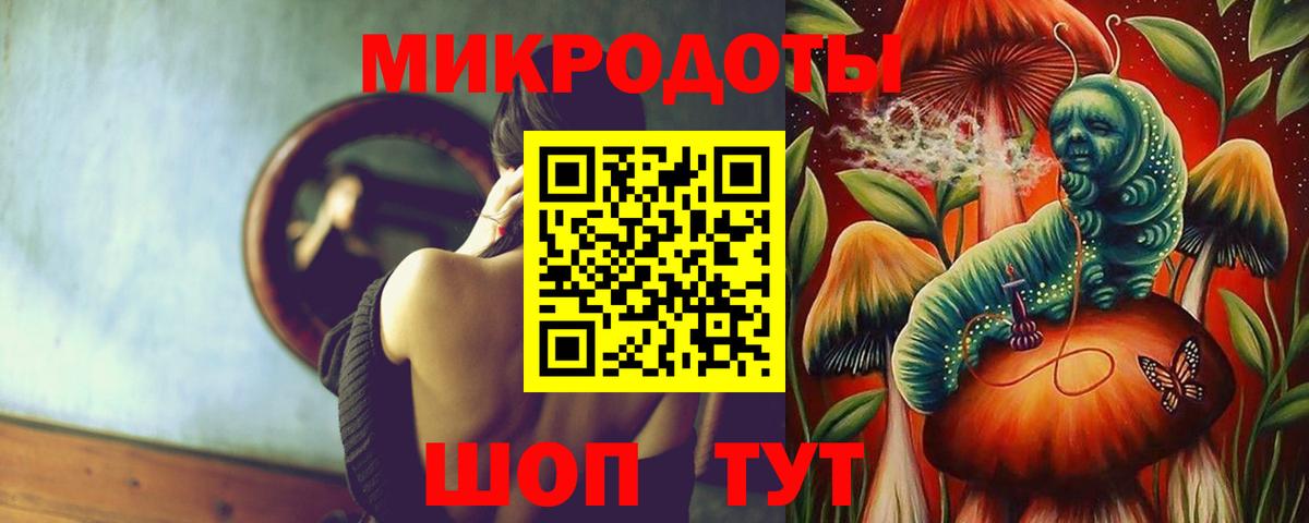 где купить наркотик  Псилоцибиновые грибы MAGIC MUSHROOMS  Вход с VPN  Галлюциногенные грибы прущие грибы  Качканар 